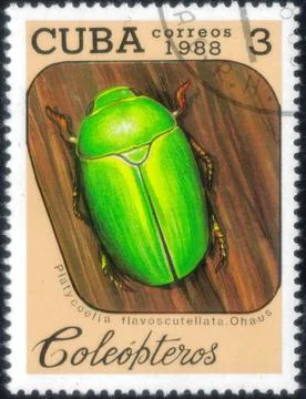 Postage stamp with the image of Emerald Colored Beetle, Platycoelia flavosc.. 스톡 사진