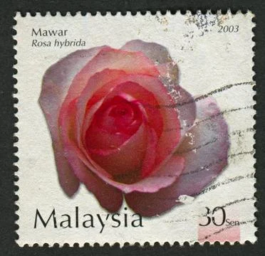 Postage stamp. Foto stock