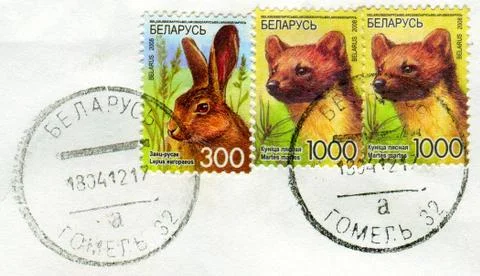 The Postage stamp. 写真素材