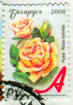 The Postage stamp. Stock Photos