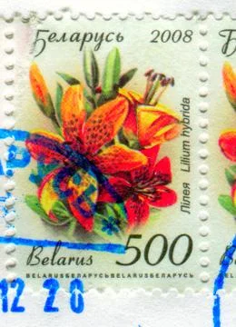 The Postage stamp. Stock Photos