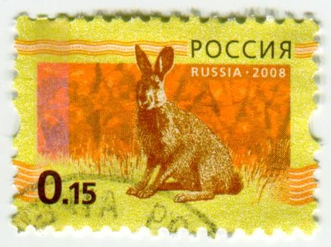 The Postage stamp. 스톡 사진