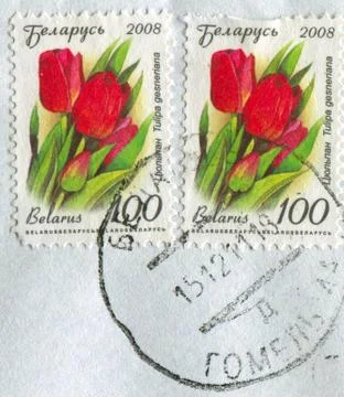 The Postage stamp. Stock-Fotos