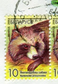 The Postage stamp. Stock Photos