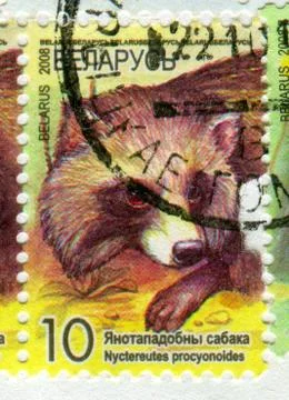 The Postage stamp. Stock-Fotos