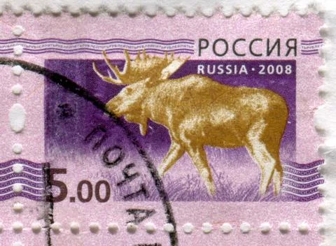 The Postage stamp. Foto stock