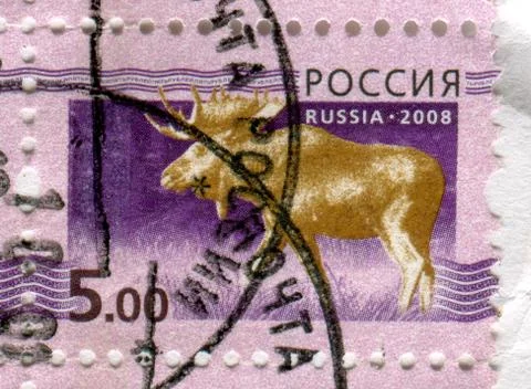 The Postage stamp. Stock-Fotos