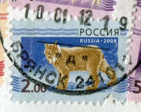The Postage stamp. 스톡 사진