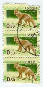 The Postage stamp. 스톡 사진