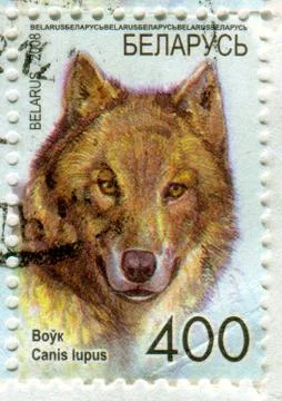 The Postage stamp. Photos