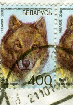 The Postage stamp. Stock Photos