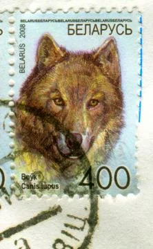 The Postage stamp. 스톡 사진