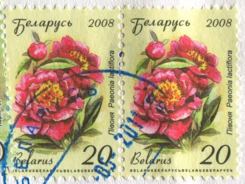 The Postage stamp. 스톡 사진