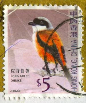 The Postage stamp. Foto stock