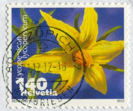 The Postage stamp. 스톡 사진