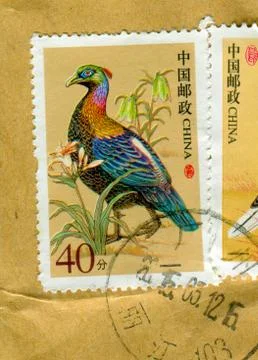 The Postage stamp. Stock Photos