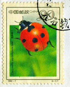 The Postage stamp. 스톡 사진