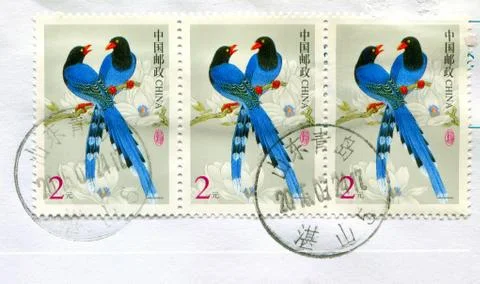 The Postage stamp. 스톡 사진
