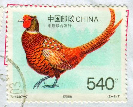 The Postage stamp. Stock Photos