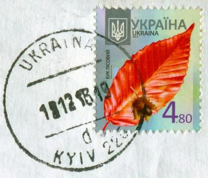 The Postage stamp. 스톡 사진