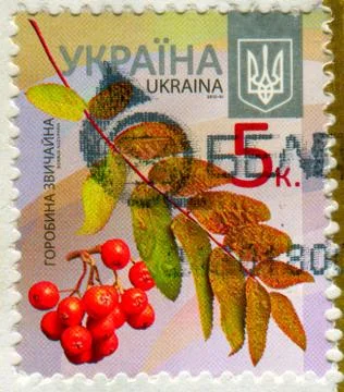 The Postage stamp. Stock Photos