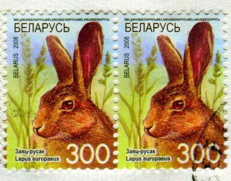 The Postage stamp. Stock-Fotos