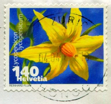 The Postage stamp. Stock-Fotos