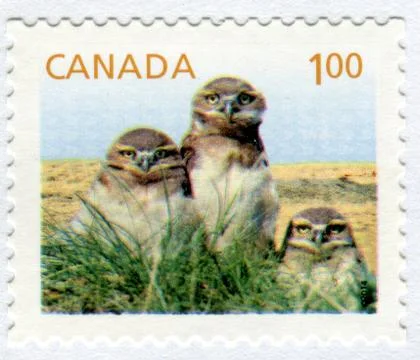 The Postage stamp. Stock Photos