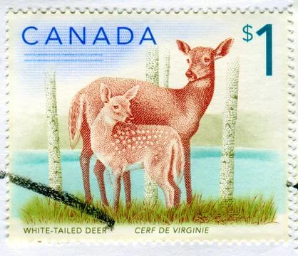 The Postage stamp. Foto stock