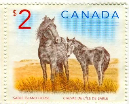 The Postage stamp. 스톡 사진