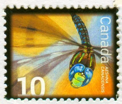 The Postage stamp. Foto stock