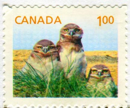 The Postage stamp. Foto stock