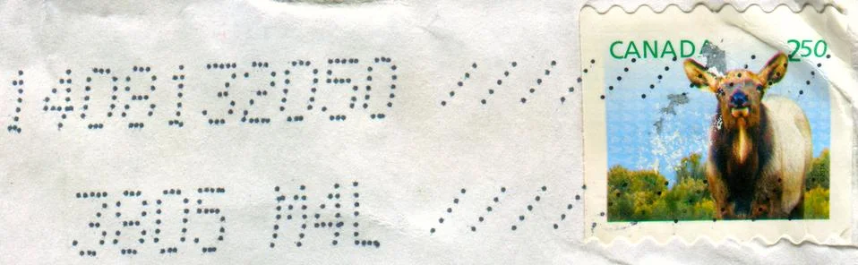 The Postage stamp. 스톡 사진