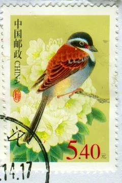 The Postage stamp. 스톡 사진