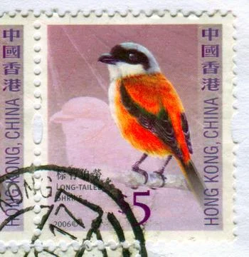 The Postage stamp. Stock-Fotos