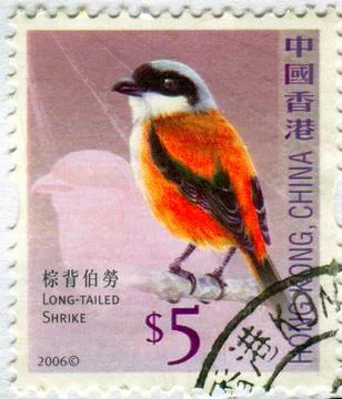 The Postage stamp. Fotos de archivo