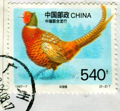 The Postage stamp. Stock-Fotos