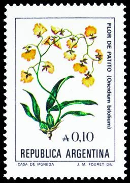 Postage stamp printed in Argentina shows Flor de Patito (Oncidium bifolium),  Stock Photos