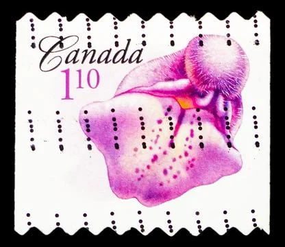 Postage stamp printed in Canada shows Marsh skullcap, Flower Definitives (2.. Stockfoto's