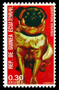 Postage stamp printed in Equatorial Guinea shows Griffon Enano (Canis lupus f Stock Photos