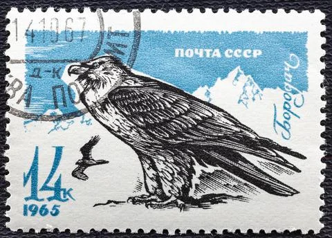 Postage stamp printed in Soviet Union shows Bearded Vulture Gypaetus barbatus Stock Photos