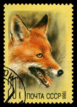 Postage stamp. Red Fox. 写真素材
