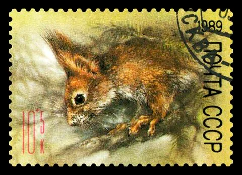 Postage stamp. Red Squirrel. 写真素材