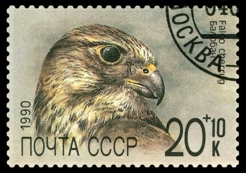 Postage stamp. Saker. Foto stock