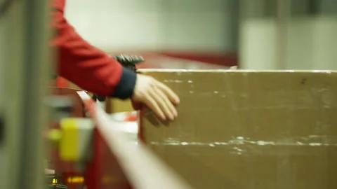 Postal Worker sorting Packages on belt at Postal Transfer Facility Stock-Footage 195235235