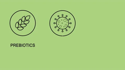 Postbiotic, prebiotic, and probiotic text on a green background. The concept of Stock Footage 240039713