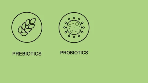 Postbiotic, prebiotic, and probiotic text on a green background. The concept of Stock Footage 240340840