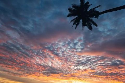 Postcard, background breathtaking sunset sky and palm tree in Thailand Stock Photos