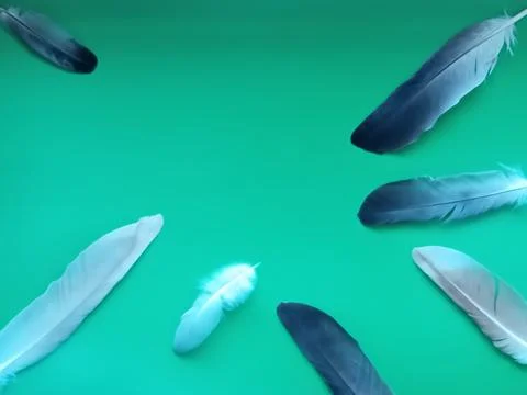 Postcard, background with feathers. Stock Photos