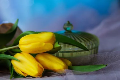 Postcard congratulations on spring holidays Stock Photos